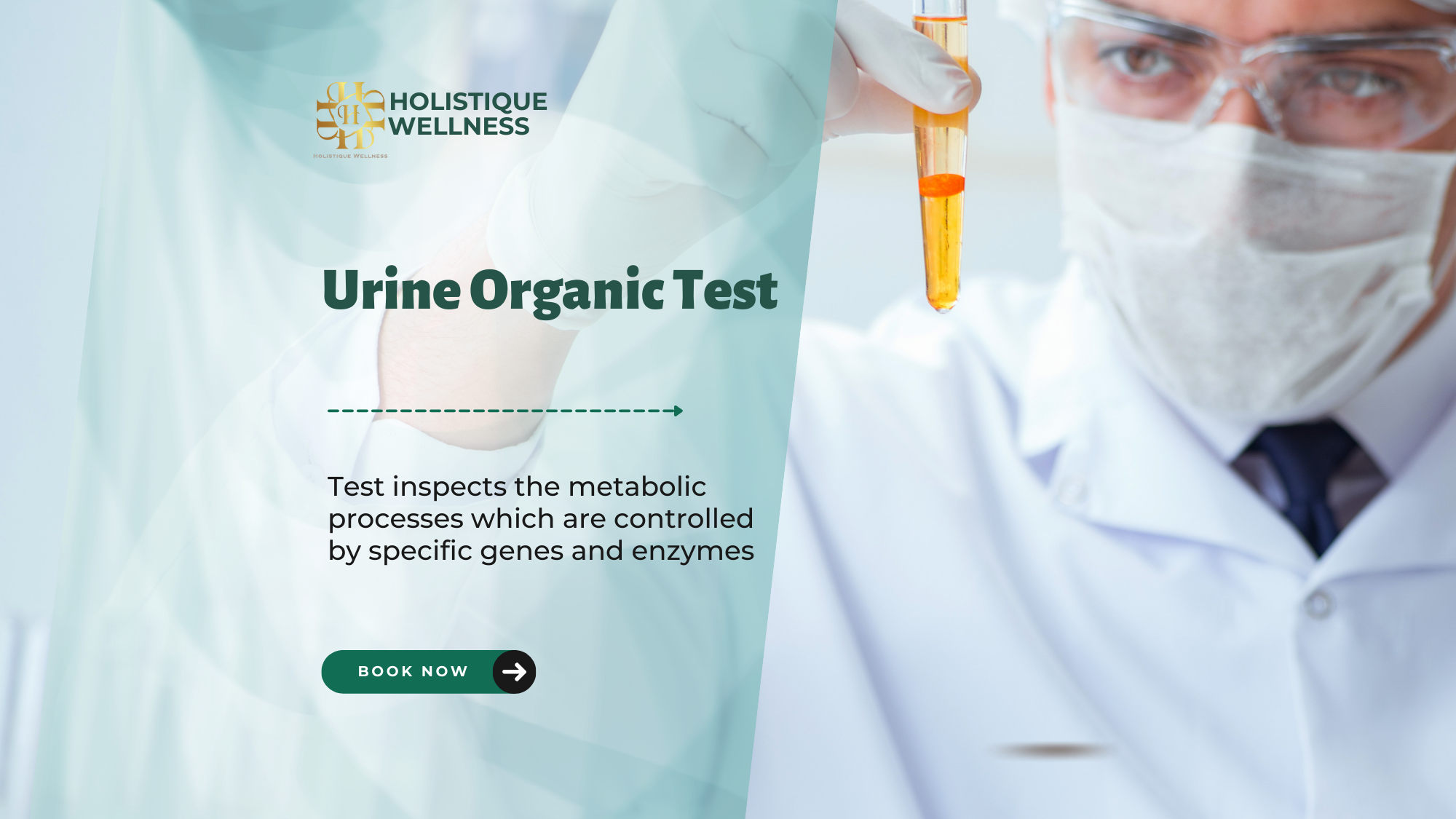 Urine Organic โปรแกรมตรวจการทำงานของระบบต่างๆ ในร่างกายในระดับเซลล์ด้วยปัสสาวะ